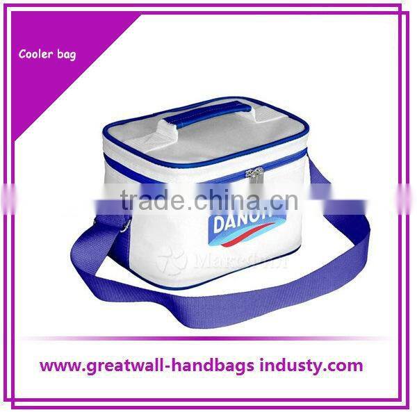 fahsion insulated cooler bag picnic cooler bag