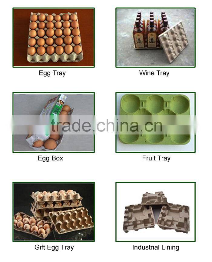 Plastic Egg Tray Machine Disposable Egg Trays For Sale