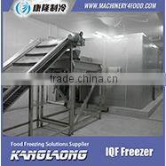 New Brand Vegetables Chiller With Good Quality