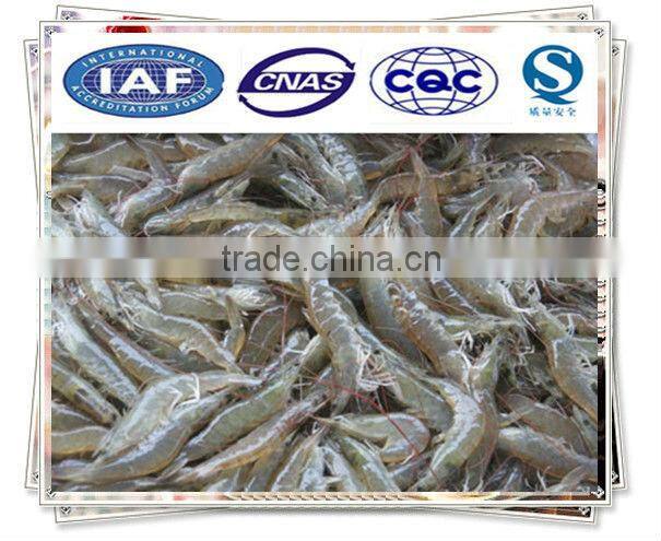 Sushi white shrimp (Vannamei)