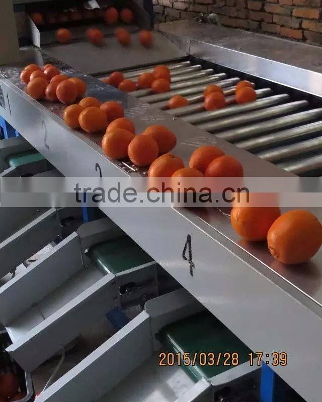 persian limes Sorter machine