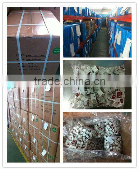 flashlight button switch 2P on-off push button switch