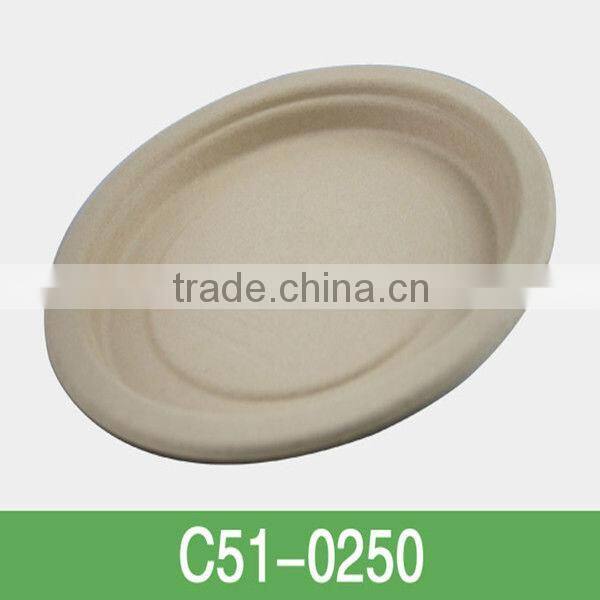 disposable bamboo food Plate