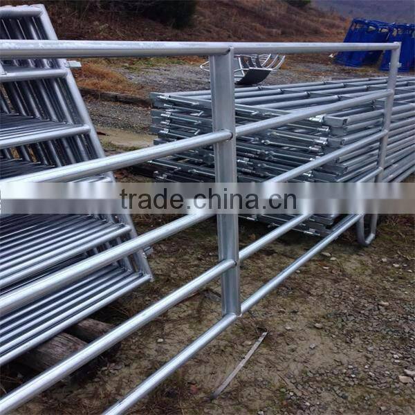 Australia hot dipped galvanized heavy duty cattle panels In Farm (Factory Trade Assurance)