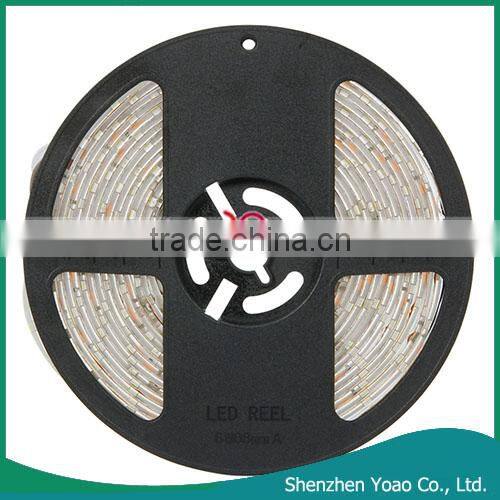 12V 5m 300LEDs 25W SMD3528 White Light Epoxy Waterproof LED Light Strip