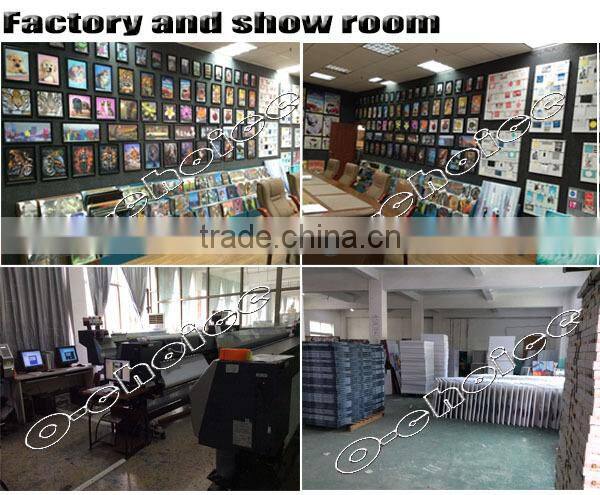 Hot selling Europe design 25x35cm 3d picture