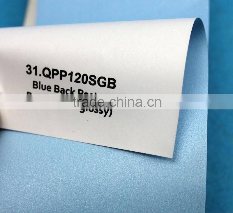 Blue Back Poster Paper buy posters