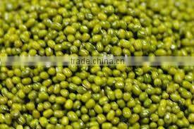 supplying GREEN MUNG BEANS (CHINA)for sale