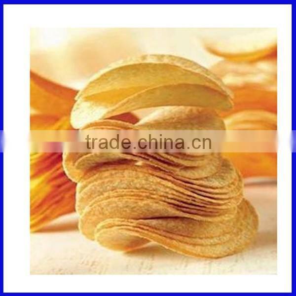 Electric Deep Fryer