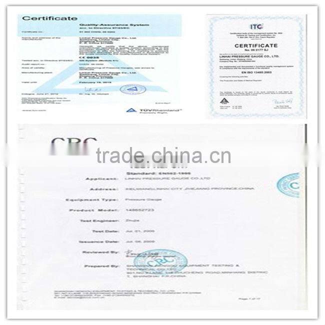 Double Gauge Beer CO2 Regulator