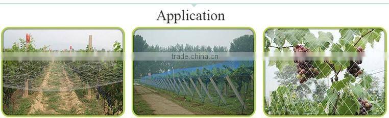 Chinese Credible Supplier Net Anti Bird Netting