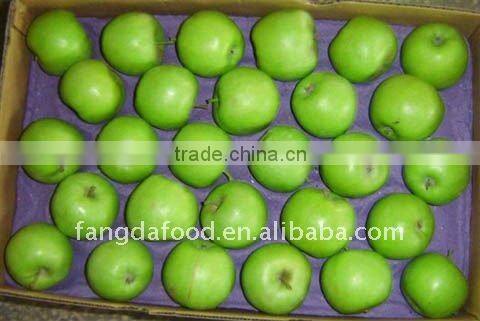 New Crop Fresh Green Apple;Granny Smith