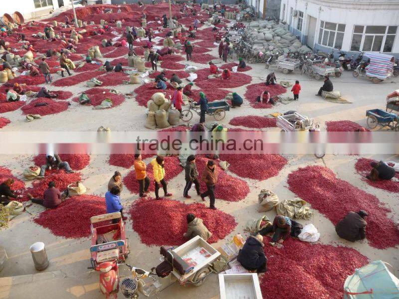 Hot selling in 2016 No Sudan Additive,No Aflatoxin,with High Hotness China Manufacturer Exporter Dried Red Chilli Powder
