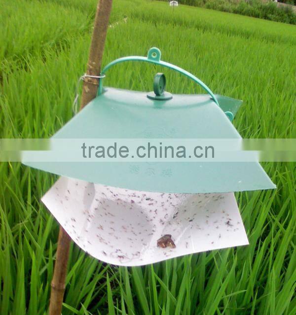 Pheromone lures of Pectinophora gossypiella with trap set