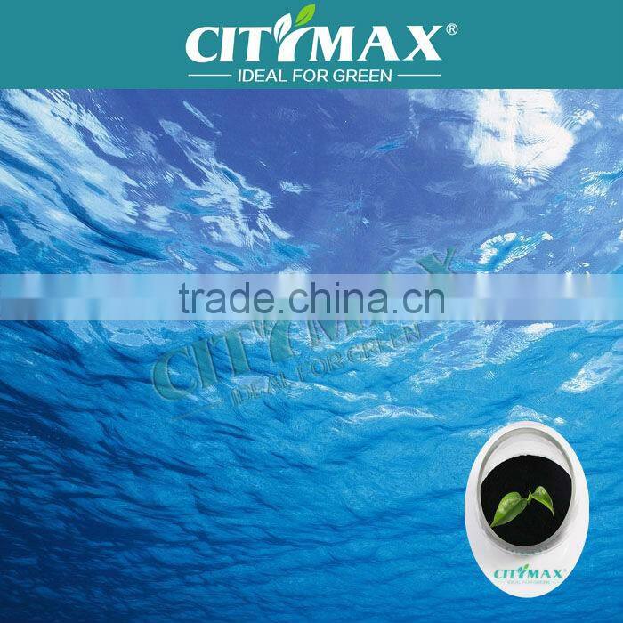 Seaweed Extract Bio fertilizer Plant