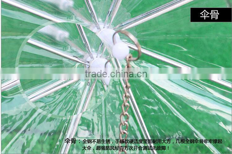 Transparent PVC pet dog umbrella
