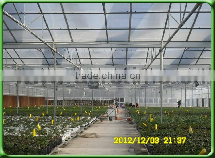 Multi span polycarbonate sheet covering house for vegetables