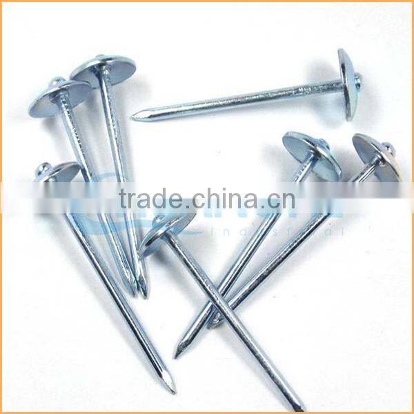 Top quality umbrella head screw rod roofing nails trusted Chuanghe suppliers from alibaba com