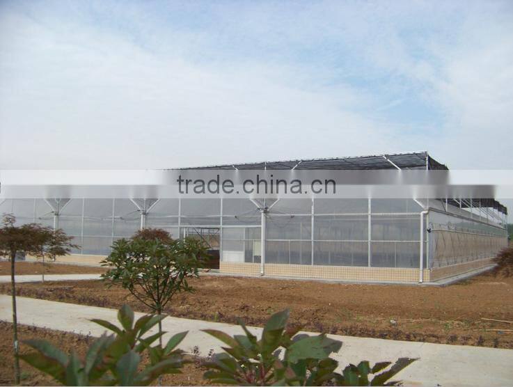 Quickly delivery structure greenhouse for sale green house