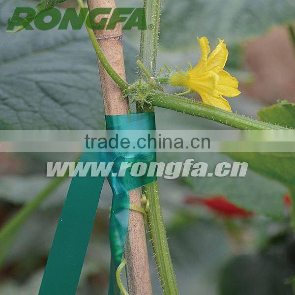 Fresh PVC Material Plastic Garden Tape