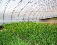 blow molding agricltural film