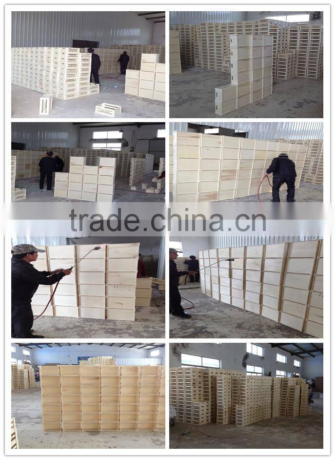 Custom printed wood beer bottle carrier Wooden 20 bottles beer Crates wood wine bottles shipping crates with grids for sale