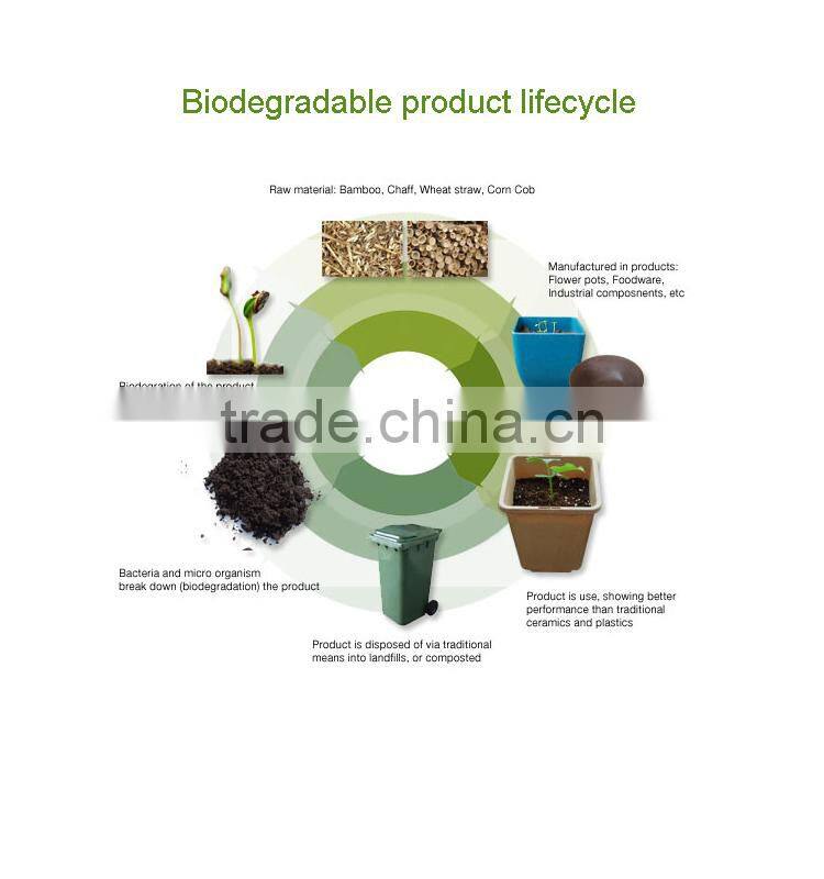 LFGB approved bamboo fibre eco friendly cups