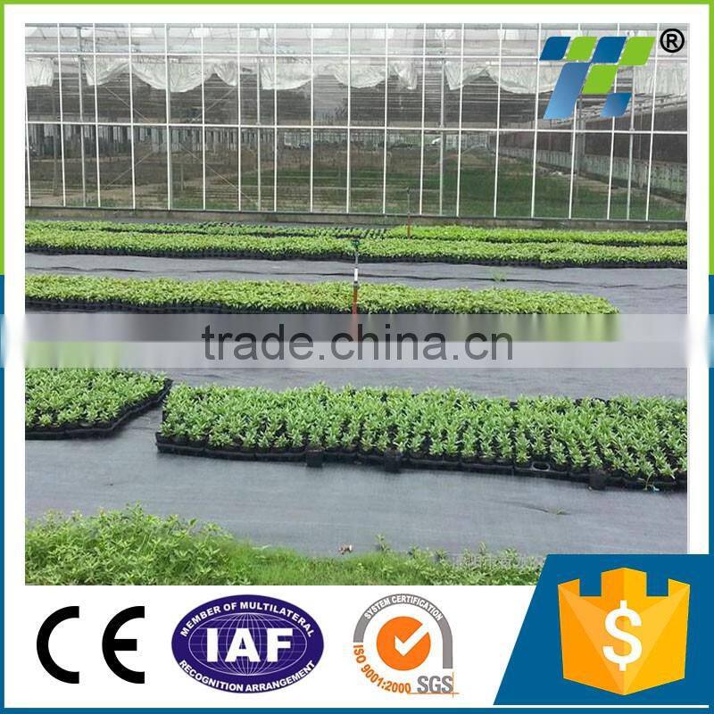 Best selling product PE ground cover net agricultural use,weed control net