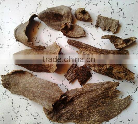 wild Agarwood oil with agarwood burner