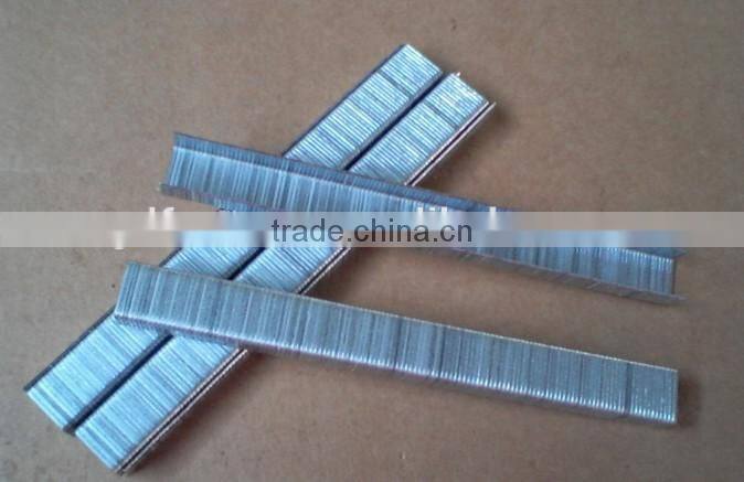 Furniture stapler pin 1013F