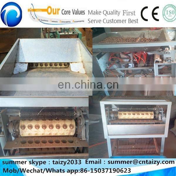 macadamia nut cracker machine Macadamia nuts processing machine