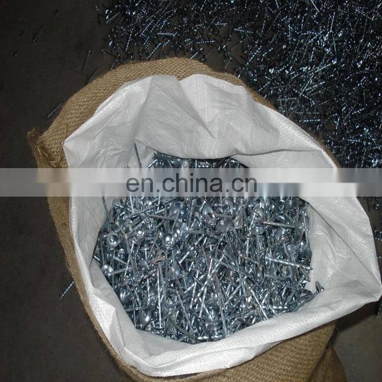 Hot dipped galvanized Roofing Nails With Umbrella Head