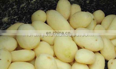 Brand new OR Series sweet potato machine / peeling machine / sweet potato peeler