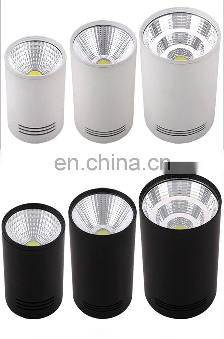 6Inch 180mm Round Cylinder Mounted 30W COB LED Down Light