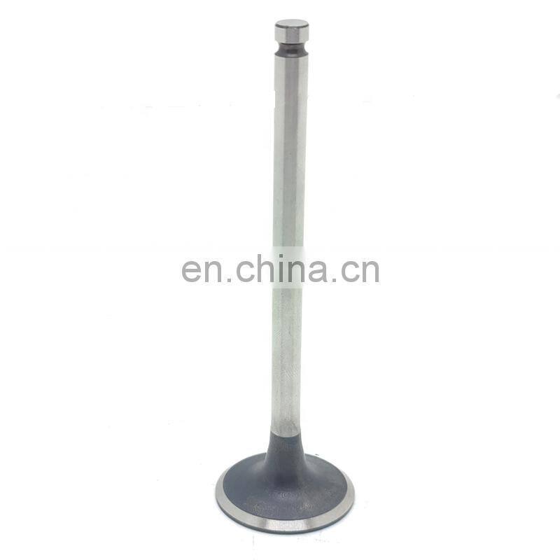 High quality universal original Factory quality China high perFormance durable in use Exhaust Valve 1011A086 For Mitsubishi
