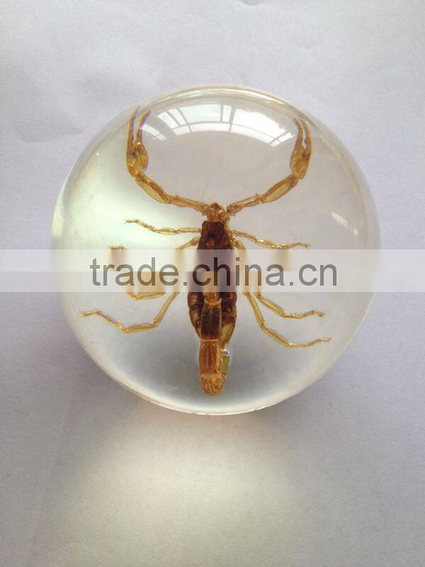 New design acrylic half ball with real ember embedded for promotional gift