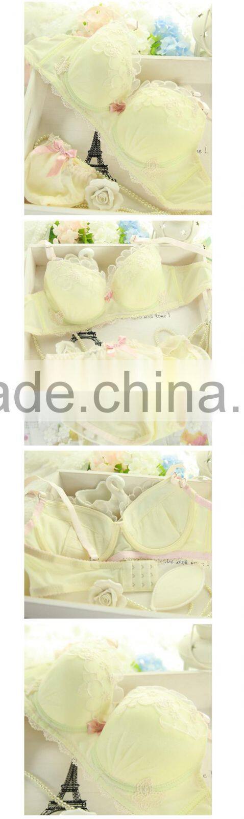 Lace Embroidery Transparent Underwear Bra