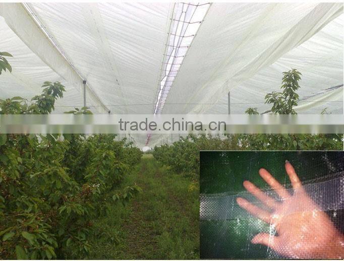 Europe farming and orchard cover transparent pe tarpaulin greenhouse film