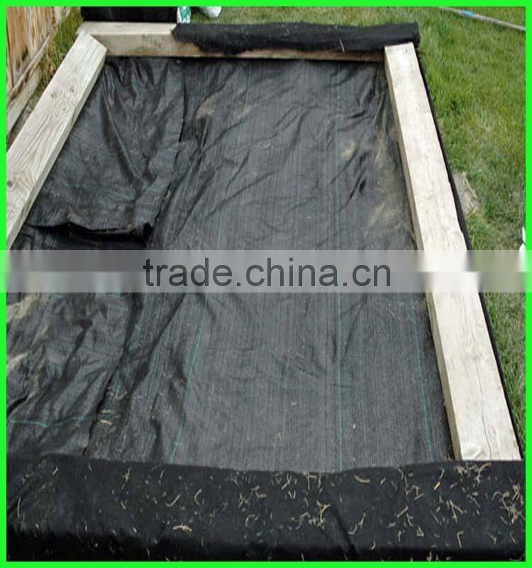 Henan Suntex offer PP plastic weed mat with competitive price