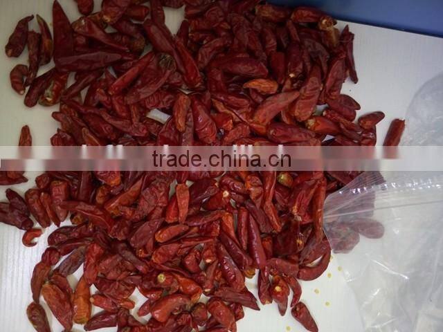 Dry red chili with high quality