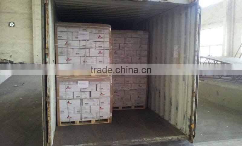 coil nails/coil framing nails