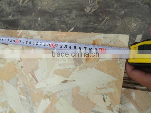 new full poplar OSB board