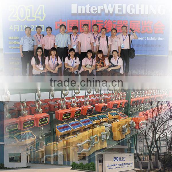 ABS plastic housing waterproof scale