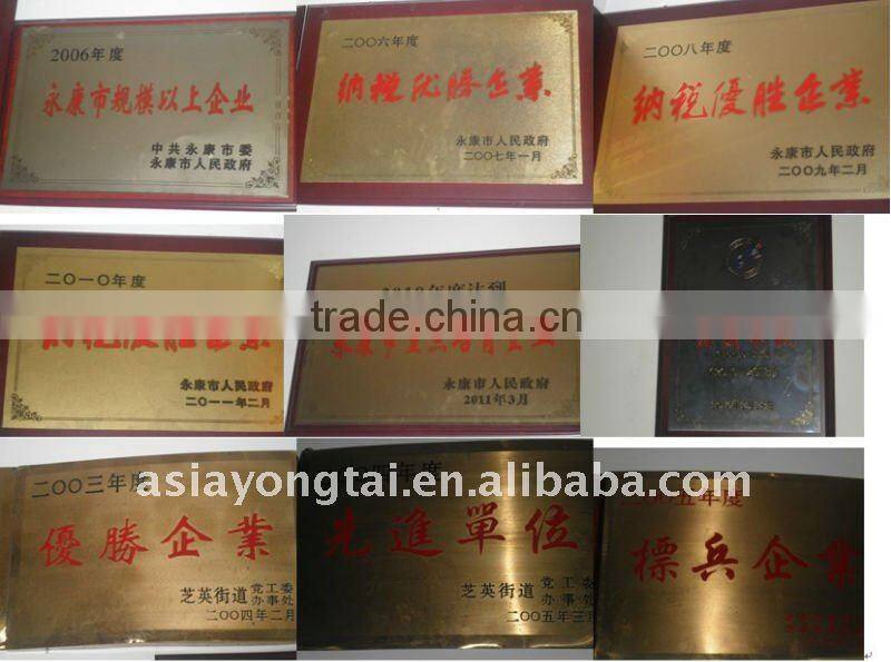 YTF-03 big swing scooter adult swing scooter