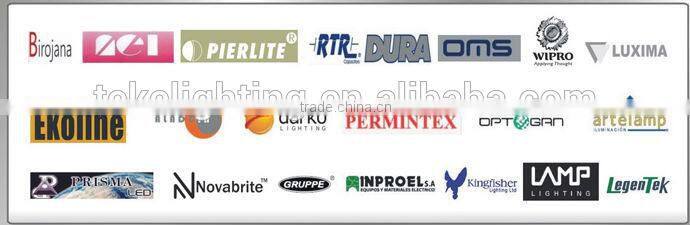 2015 New designed Bridgelux Chip Dimmerable IP67 500w led floodlight