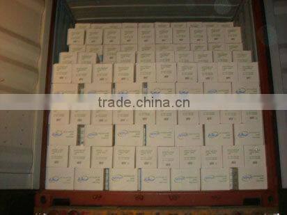 Fresh champignon 184g