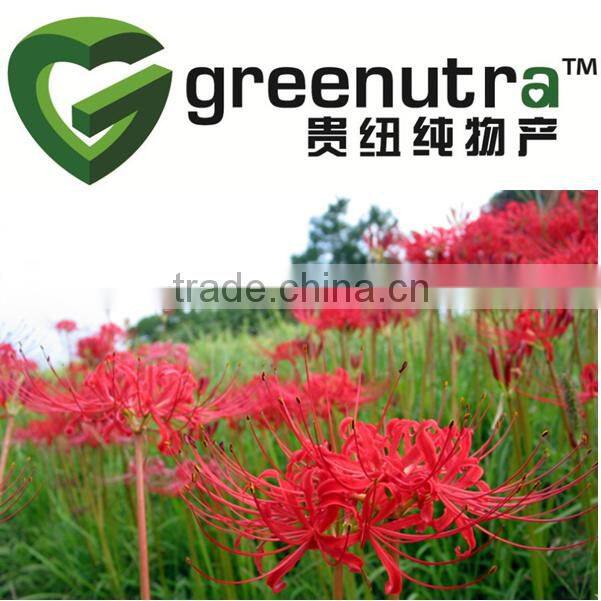 galanthamine/lycoremine /Lycoris Extract