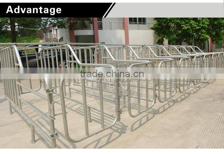 Pig Gestation Crate For Pig Farm Equipment,Poultry Equipment Sow Limitation Crate