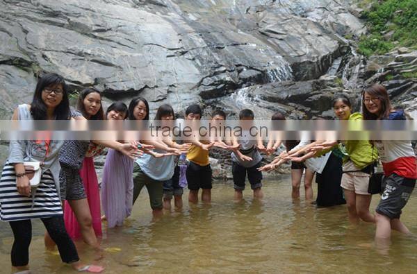 Cheap 20 frames radial honey extractor