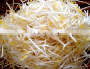 High efficiency bean sprout skin peeling machine